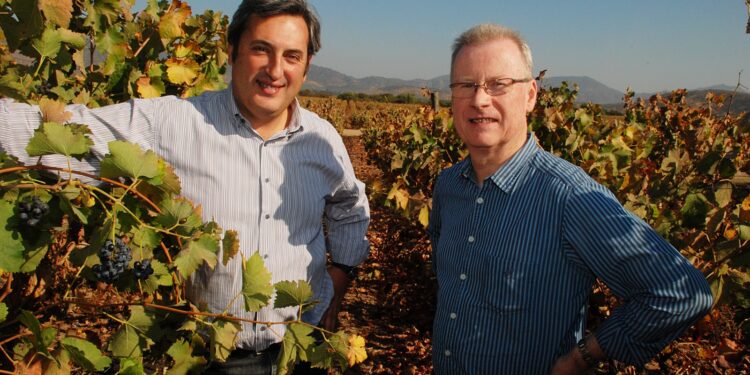 Viña Ventisquero é eleita vinícola do ano de 2024