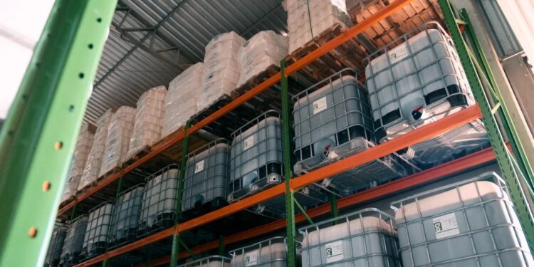 Uso de bioinsumos é alternativa para aumentar produtividade nas lavouras de grãos