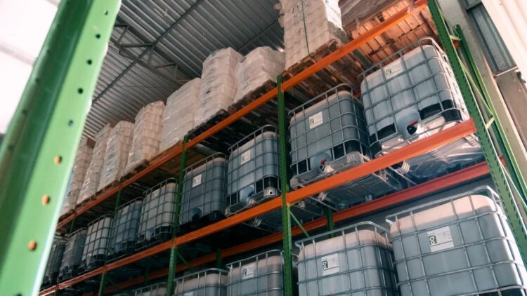 Uso de bioinsumos é alternativa para aumentar produtividade nas lavouras de grãos