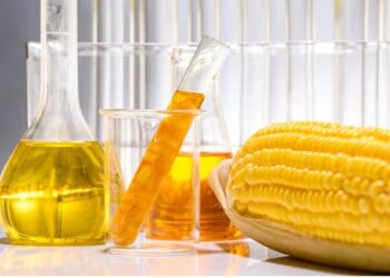 Novos projetos de etanol de milho demandam R$ 20 bi