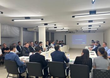 60% das empresas goianas não possuem ou estão em fase inicial do planejamento estratégico