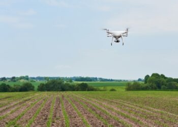 Cinco tecnologias que não podem faltar na agricultura em 2025