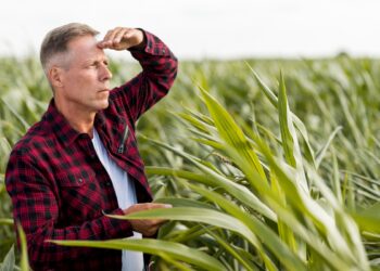 Corrupção no agro mancha a reputação das empresas e respinga no produtor