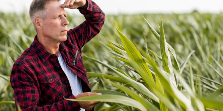 Corrupção no agro mancha a reputação das empresas e respinga no produtor