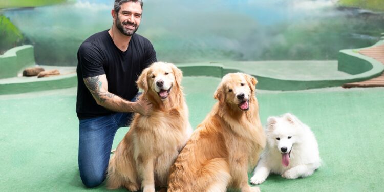 Hospedagens para pets têm alta demanda no fim de ano