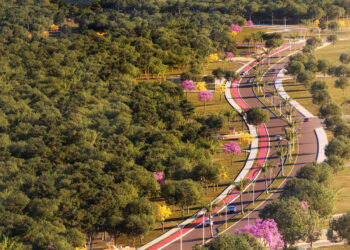 Iniciativas em Catalão contribuem para sustentabilidade ambiental de Goiás