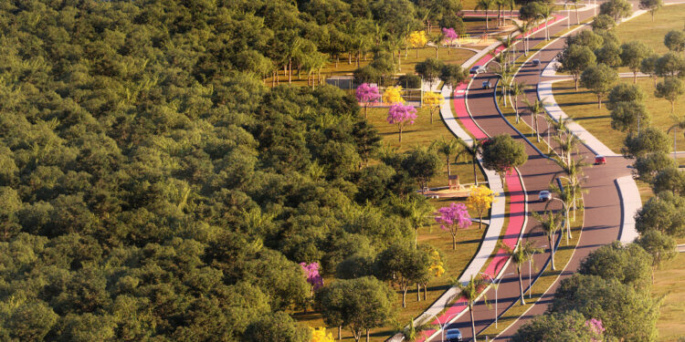 Iniciativas em Catalão contribuem para sustentabilidade ambiental de Goiás