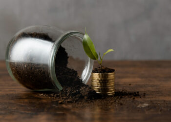 Pedidos de recuperação judicial de empresas do agro crescem no País