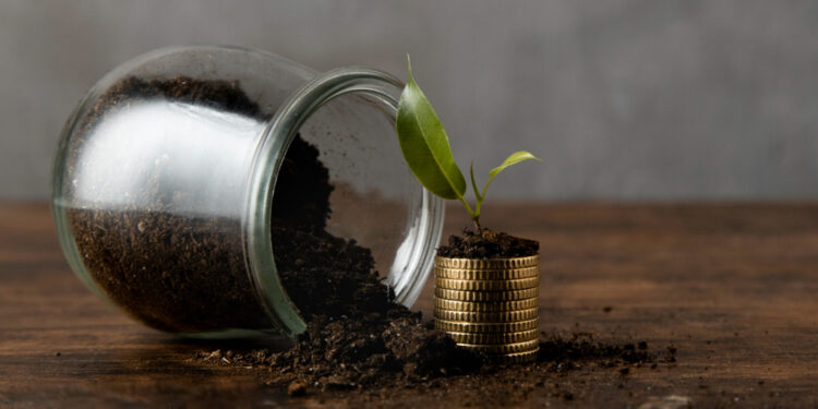 Pedidos de recuperação judicial de empresas do agro crescem no País