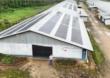 70% das granjas da Seara utilizam energia solar