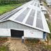 70% das granjas da Seara utilizam energia solar