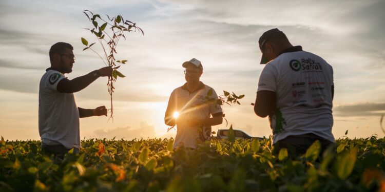 Clima ajuda e Goiás pode ter produtividade histórica em safra de soja