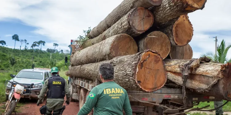 Empresários devem entregar relatório anual de atividades ao Ibama