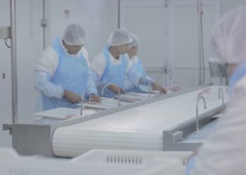 Frigorífico Saciatta oferece 40 vagas em Mato Grosso