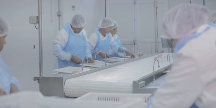 Frigorífico Saciatta oferece 40 vagas em Mato Grosso