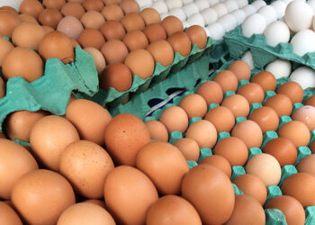 JBS estreia no setor de ovos com compra de maior produtora do País
