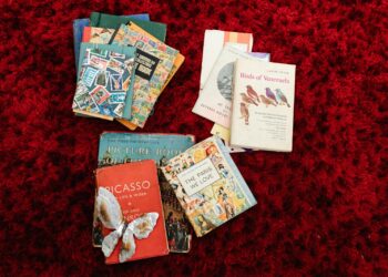 Sesc Goiás estende exposição sobre o lorde inglês Robin MacGregor