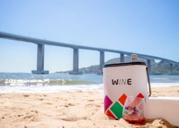 Férias: dicas para transportar e curtir vinhos em viagens