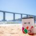 Férias: dicas para transportar e curtir vinhos em viagens