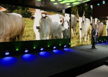 Mato Grosso sediará Congresso Mundial da Carne em outubro