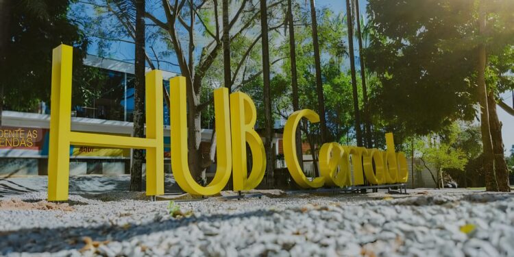 HUB Cerrado prevê R$10 milhões para impulsionar startups em 2025