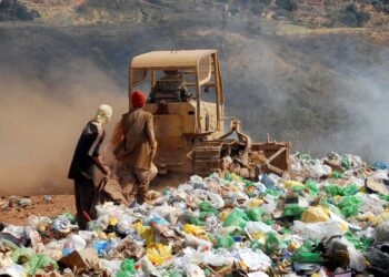 Menos de 2% dos resíduos orgânicos têm destino adequado no Brasil