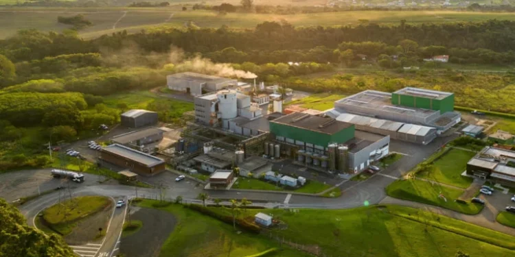 Multinacional de biotecnologia do etanol, LBDS mira expansão de até 30% no Brasil