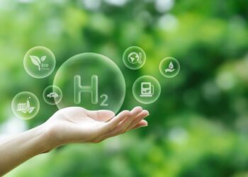 Selo Vegano: Produtos populares que têm e você não sabia