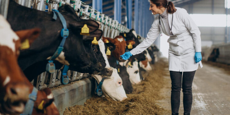 Medicina Veterinária: formação acompanha transformações do setor