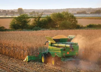 Amaggi é a única empresa brasileira líder de soja no ranking Forest 500