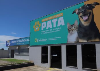 Aparecida de Goiânia ganha centro de castração pet público