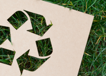 Dia Mundial da Reciclagem: por que o Brasil ainda trata lixo como problema, e não como solução?