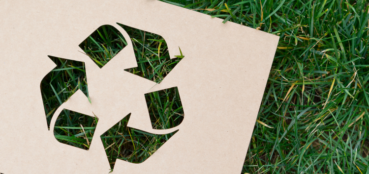 Dia Mundial da Reciclagem: por que o Brasil ainda trata lixo como problema, e não como solução?