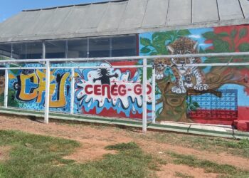 Feira de economia criativa celebra comunidade negra e povos tradicionais