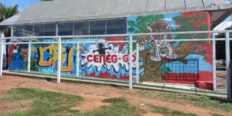Feira de economia criativa celebra comunidade negra e povos tradicionais