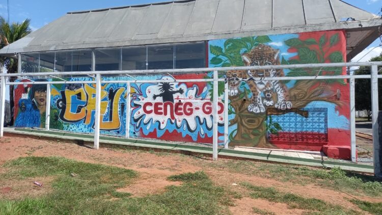 Feira de economia criativa celebra comunidade negra e povos tradicionais