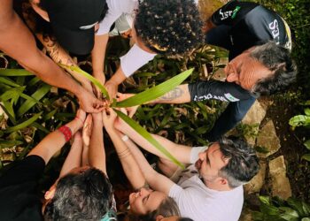 Festival Regenera é polo de bem-estar e sustentabilidade em Brasília