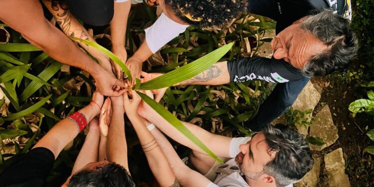 Festival Regenera é polo de bem-estar e sustentabilidade em Brasília