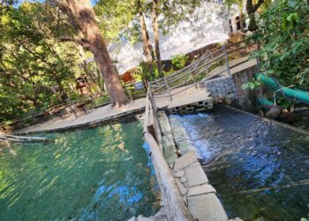 Aviva celebra Semana do Meio Ambiente com ações em Goiás e na Bahia