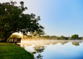 Fazenda Lumiar aposta em conceito de campo elevado ao alto padrão