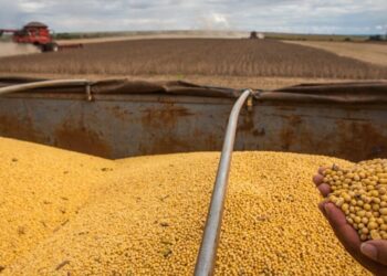 Goiás registra superávit de US$ 3,2 bi na balança comercial