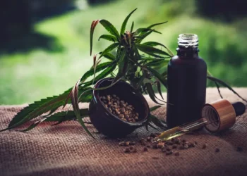 STJ prorroga prazo para regulamentação do cultivo medicinal da cannabis