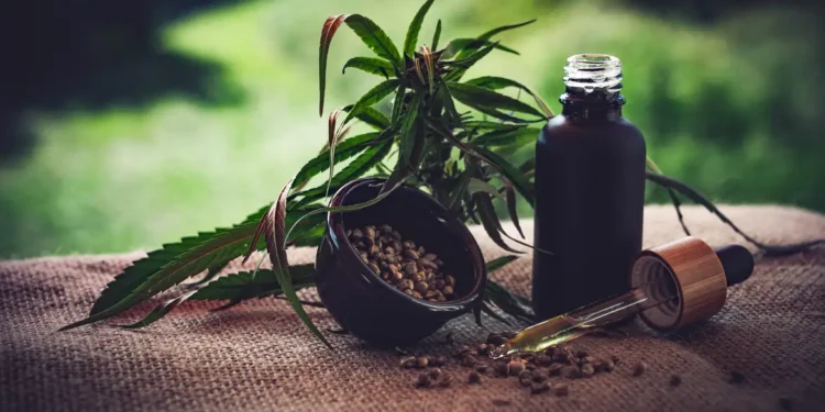 STJ prorroga prazo para regulamentação do cultivo medicinal da cannabis