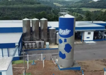 Grupo Scala compra Deale e amplia presença no mercado lácteo