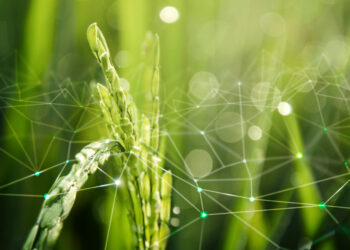 Agronegócio 4.0: As franquias são a próxima revolução rural