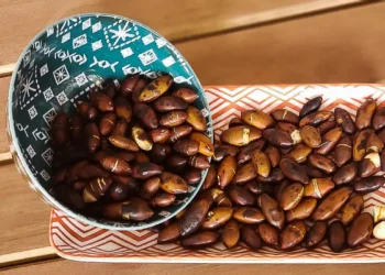 Regulamentação da castanha de baru leva o Cerrado ao mercado europeu