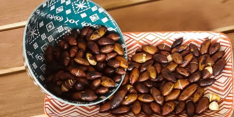 Regulamentação da castanha de baru leva o Cerrado ao mercado europeu