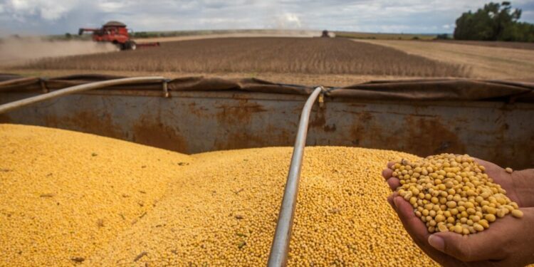 Goiás tem superávit de US$ 669 milhões na balança comercial de junho