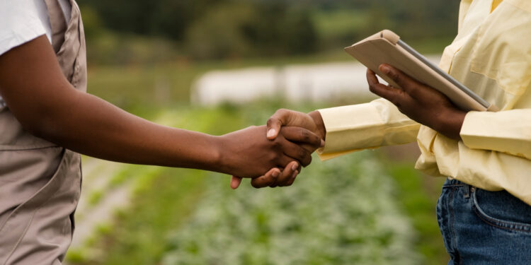 A nova era do crédito rural: Desafios e oportunidades para o setor