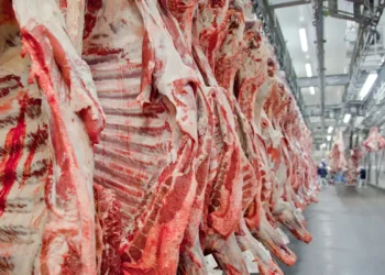 Brasil firma acordo para exportar carne à Indonésia